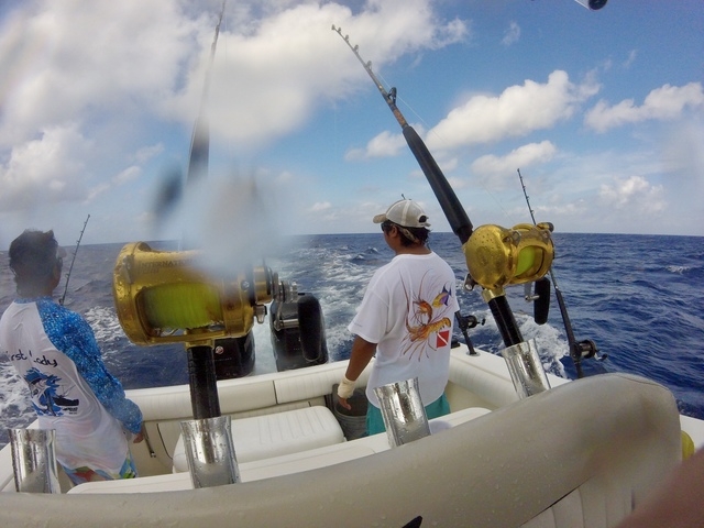 Cozumel Private Secluded Marine Park Reef Snorkel and El Cielo Sandbar Excursion HIGHLY RECOMMEND!!!