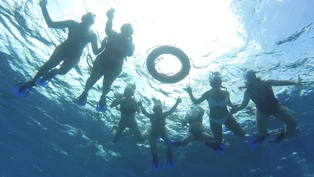 Cozumel Private Secluded Marine Park Reef Snorkel and El Cielo Sandbar Excursion HIGHLY RECOMMEND!!!