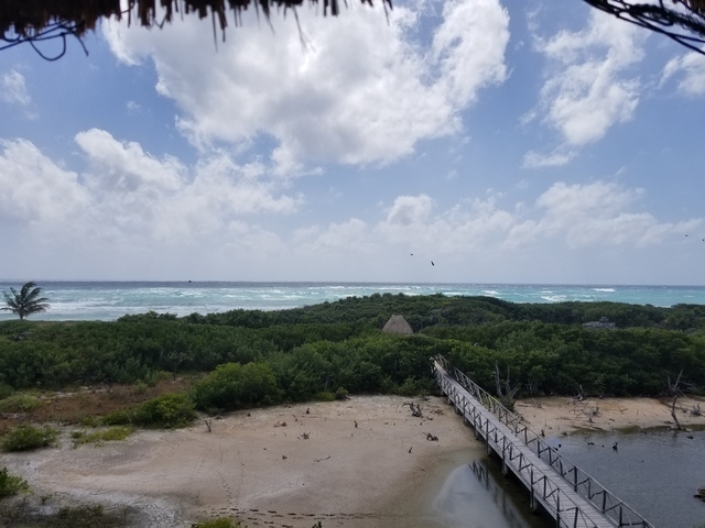 Cozumel Punta Sur Park Dune Buggy, Coral Reef Snorkel, Beach, and Island Highlights Excursion Glad we did it!