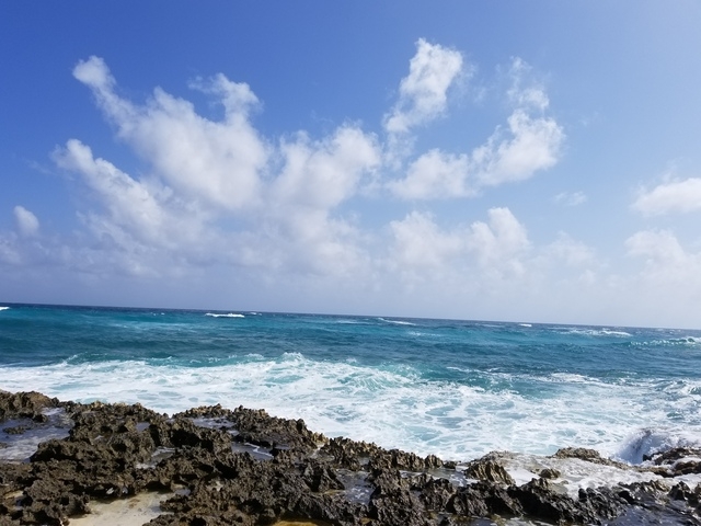 Cozumel Punta Sur Park Dune Buggy, Coral Reef Snorkel, Beach, and Island Highlights Excursion Glad we did it!