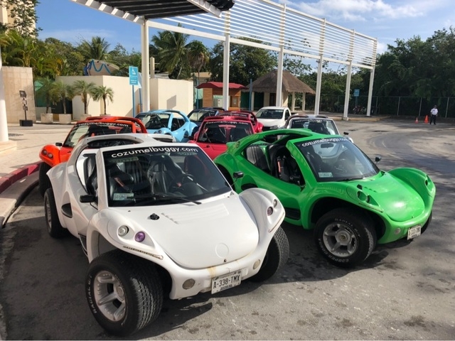 Cozumel Punta Sur Park Dune Buggy, Coral Reef Snorkel, Beach, and Island Highlights Excursion A must do, so much offered for a great price!