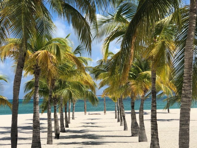 Cozumel Twister Jet Boat Fun and Passion Island All Inclusive Beach Excursion Awesome Excursion