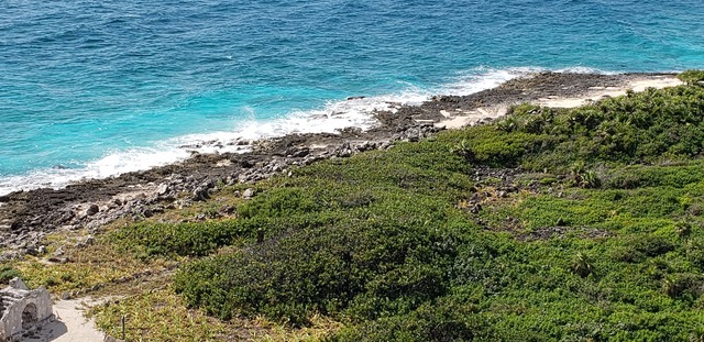 Cozumel Ultimate Island Jeep, Punta Sur and Snorkel Excursion Spectacular Day!!