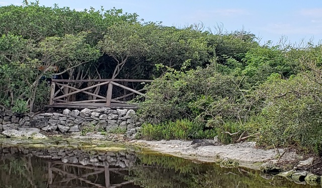 Cozumel Ultimate Island Jeep, Punta Sur Marine Park, and Snorkel Excursion Spectacular Day!!