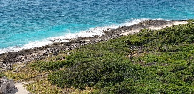 Cozumel Ultimate Island Jeep, Punta Sur Marine Park, and Snorkel Excursion Spectacular Day!!