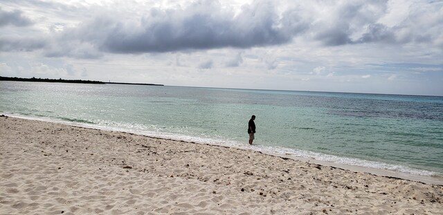 Cozumel Ultimate Island Jeep, Punta Sur Marine Park, and Snorkel Excursion Spectacular Day!!