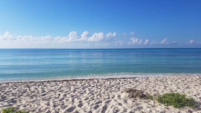 Cozumel Ultimate Island Jeep, Punta Sur Marine Park, and Snorkel Excursion Awesome Tour...