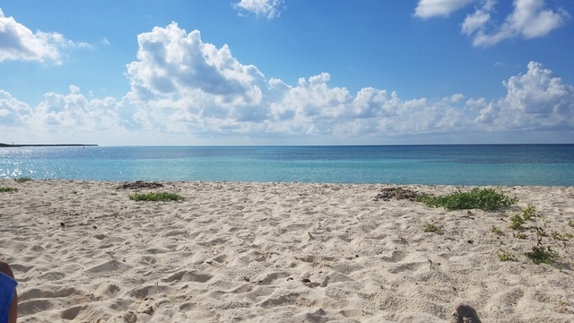 Cozumel Ultimate Island Jeep, Punta Sur Marine Park, and Snorkel Excursion Awesome Tour...