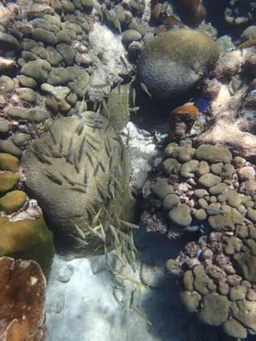 Curacao Beach Hopping and Blue Room Cave Snorkel Excursion Amazing day spent in Curaçao 