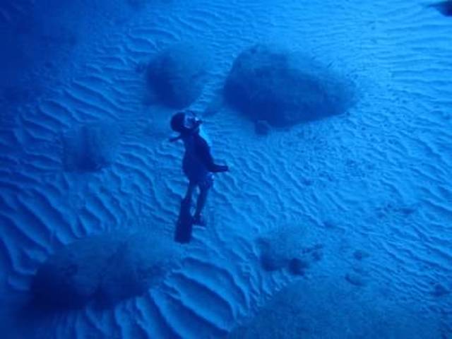 Curacao Beach Hopping and Blue Room Cave Snorkel Excursion Amazing day spent in Curaçao 