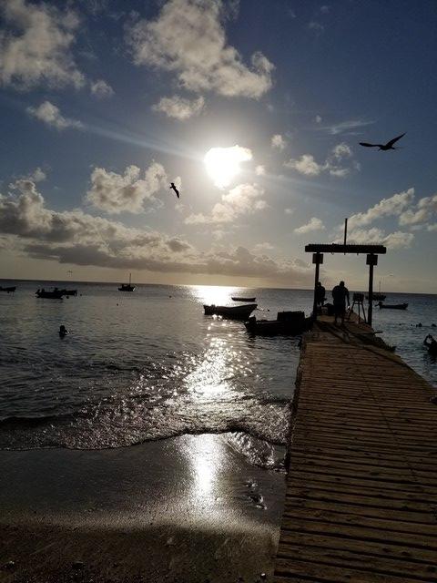 Curacao Private Island Sightseeing Excursion Fabulous way to see the Island!