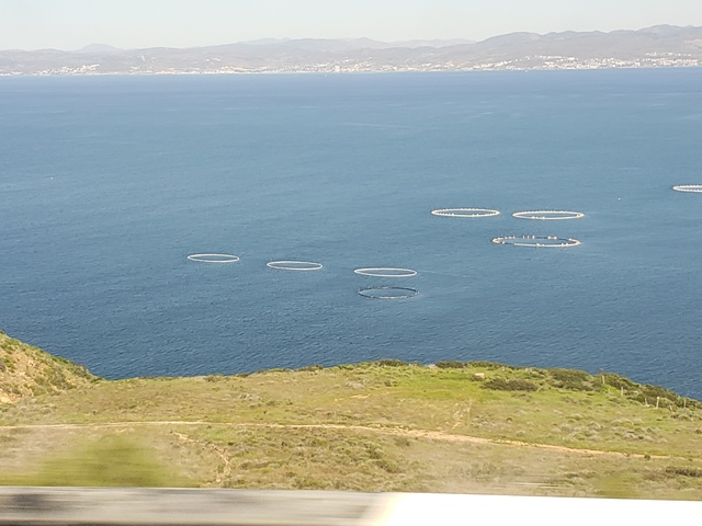 Ensenada ATV Countryside and Bufadora Blowhole Excursion Amazing excursion! A little bit of everything in Ensenada