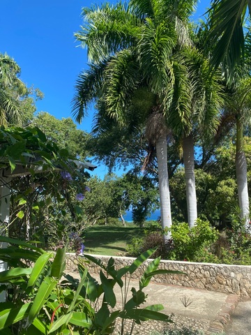 Falmouth Rose Hall Great House, Montego Bay City Sightseeing, Shopping and Dr. Cave Beach Excursion Fantastic first foray into Jamaica!