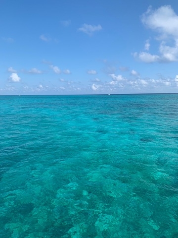 Grand Cayman Captain's Choice Reef and Stingray City Snorkel Excursion Fell in love with Cayman 