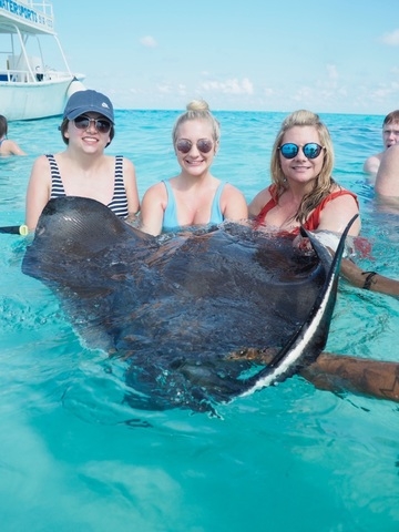 Grand Cayman Captain's Choice Reef and Stingray City Snorkel Excursion Fell in love with Cayman 