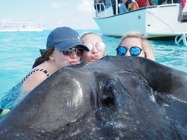 Grand Cayman Captain's Choice Reef and Stingray City Snorkel Excursion Fell in love with Cayman 