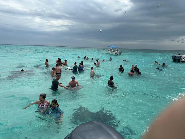 Grand Cayman Captain's Choice Reef and Stingray City Snorkel Excursion Amazing excursion 