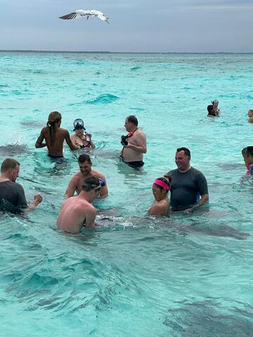 Grand Cayman Captain's Choice Reef and Stingray City Snorkel Excursion Amazing excursion 