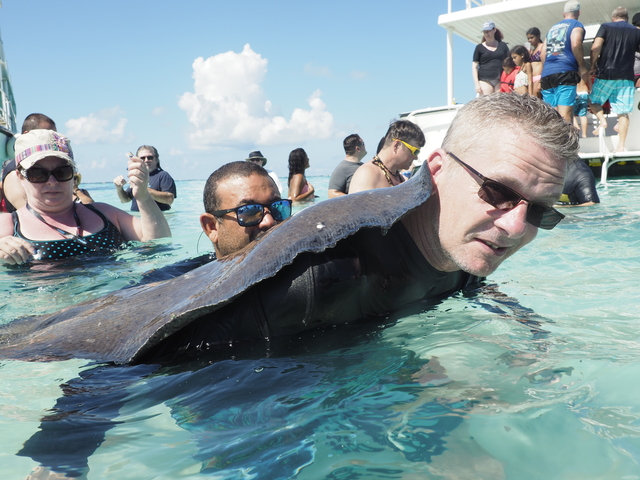 Grand Cayman Captain's Choice Reef and Stingray City Snorkel Excursion Such an amazing adventure