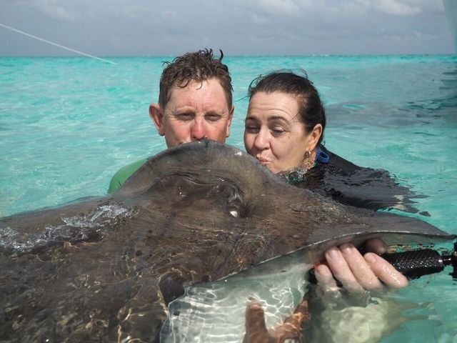 Grand Cayman Captain's Choice Reef and Stingray City Snorkel Excursion Unforgettable experience 