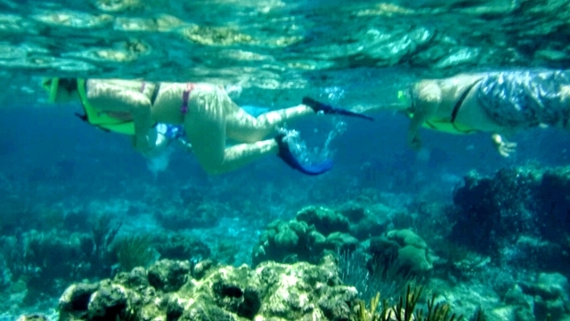 Grand Cayman Coral Reef Snorkel and Stingray City Combo Excursion Muy entretenido!!!