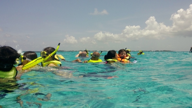 Grand Cayman Coral Reef Snorkel and Stingray City Combo Excursion Muy entretenido!!!