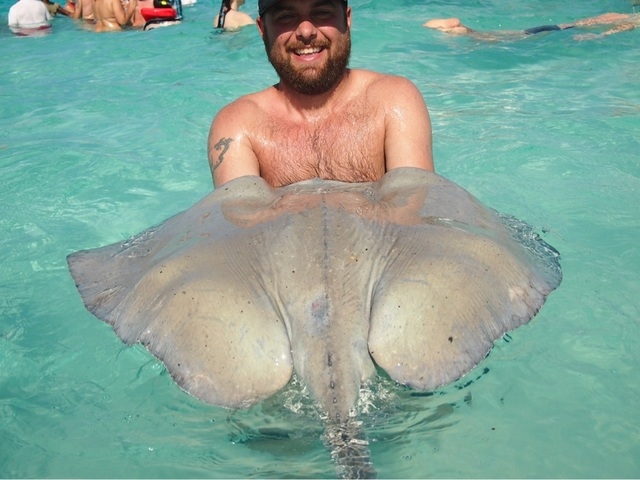 Grand Cayman Stingray City Catamaran Sail and Snorkel Excursion wow!!!