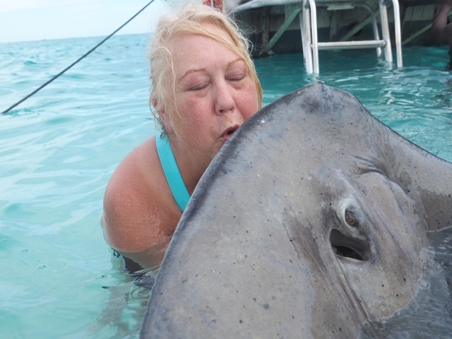 Grand Cayman Stingray City, Coral Gardens, and Starfish Snorkel Super Combo Excursion stingray city and Grand Cayman Islands was absolutely amazing