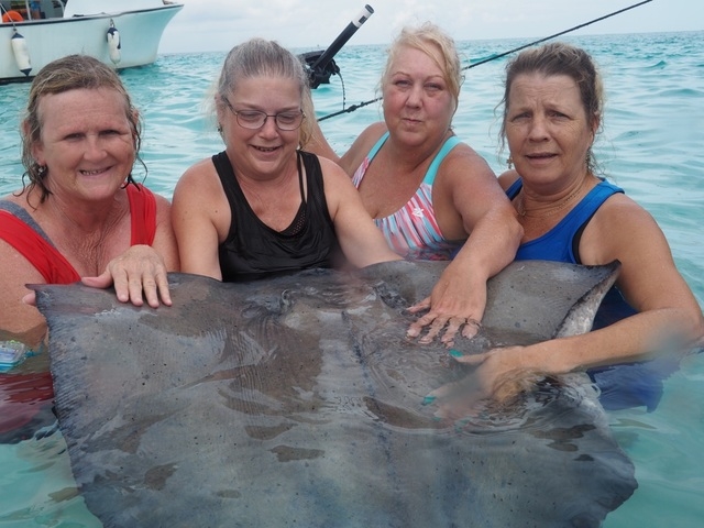 Grand Cayman Stingray City, Coral Gardens, and Starfish Snorkel Super Combo Excursion stingray city and Grand Cayman Islands was absolutely amazing