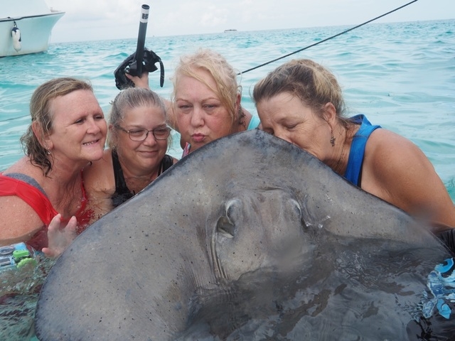 Grand Cayman Stingray City, Coral Gardens, and Starfish Snorkel Super Combo Excursion stingray city and Grand Cayman Islands was absolutely amazing