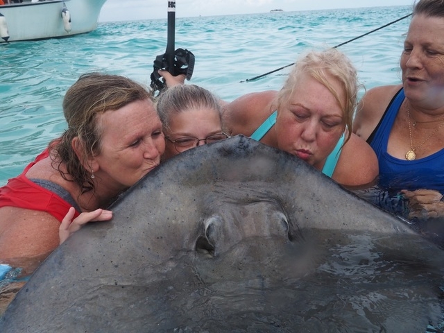 Grand Cayman Stingray City, Coral Gardens, and Starfish Snorkel Super Combo Excursion stingray city and Grand Cayman Islands was absolutely amazing