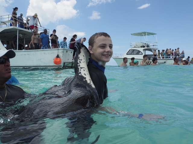 Grand Cayman Stingray City, Coral Gardens, and Starfish Snorkel Super Combo Excursion Good tour guides, amazing stingrays & starfish