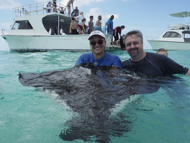 Grand Cayman Stingray City, Coral Gardens, and Starfish Snorkel Super Combo Excursion Good tour guides, amazing stingrays & starfish