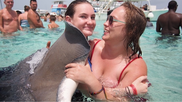 Grand Cayman Stingray City, Coral Gardens Snorkel and Turtle Farm Excursion Definitely worth it!