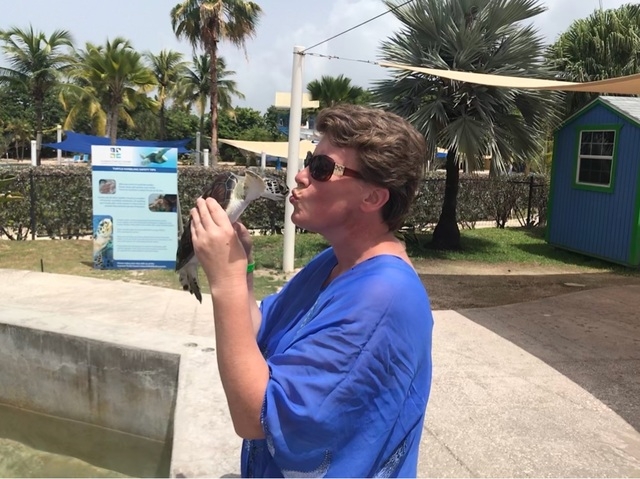 Grand Cayman Stingray City, Coral Gardens Snorkel and Turtle Farm Excursion Definitely worth it!
