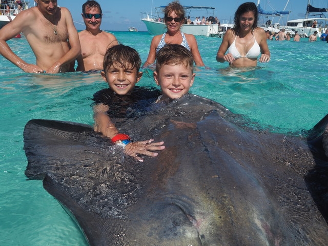 Grand Cayman Stingray City, Coral Gardens Snorkel, and Turtle Farm Excursion One of the Best Experiences of your life!!