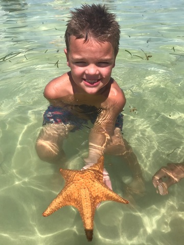 Grand Cayman Stingray City, Coral Gardens Snorkel and Turtle Farm Excursion Great Experience 