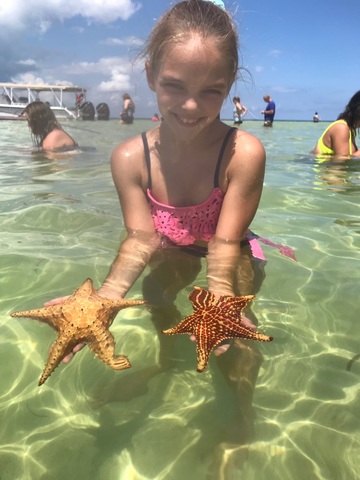 Grand Cayman Stingray City, Coral Gardens Snorkel and Turtle Farm Excursion Great Experience 