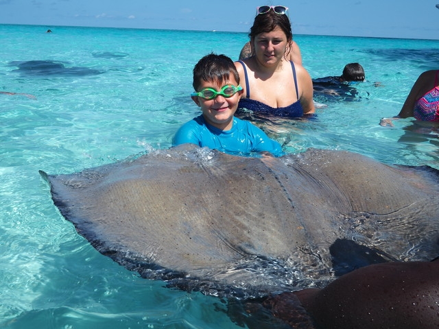 Grand Cayman Stingray City, Coral Gardens Snorkel, and Turtle Farm Excursion Amazing experience!
