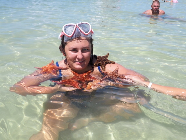 Grand Cayman Stingray City, Coral Gardens Snorkel, and Turtle Farm Excursion Amazing experience!