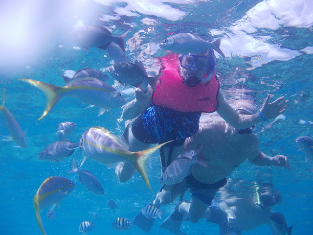 Grand Turk Highlights, Shallow Reef and Island Wall Snorkel Excursion Loved it...especially the snorkeling!