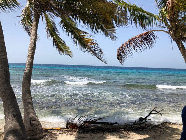 Harvest Caye Laughing Bird Caye National Park Snorkeling Excursion amazing