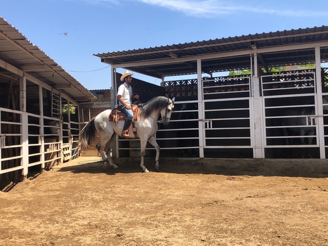 Mazatlan All About Tequila Excursion at La Noria Great experience with lots of extras!