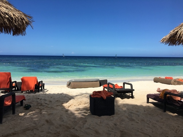 Montego Bay Adults-Only Secrets Wild Orchid Resort All-Inclusive Day Pass with Transfer AMAZING!!