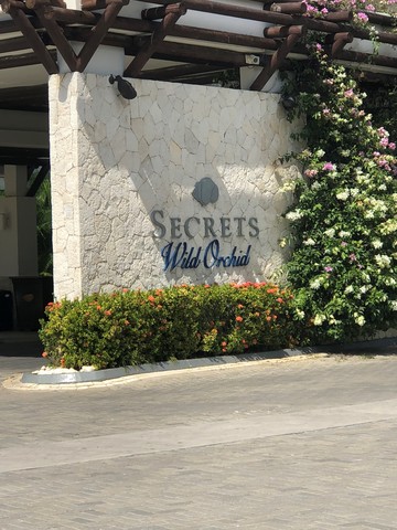Montego Bay Adults Only All Inclusive Secrets Wild Orchid Resort Day Pass  Beautiful, fun and relaxing day!