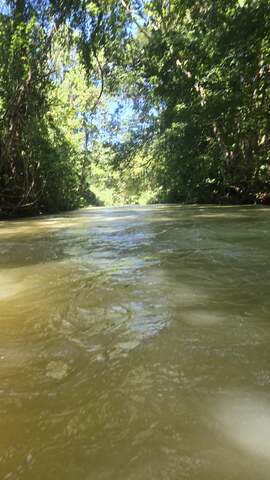 Montego Bay River Tubing, Rapids, and Beach Excursion Absolutely incredible 