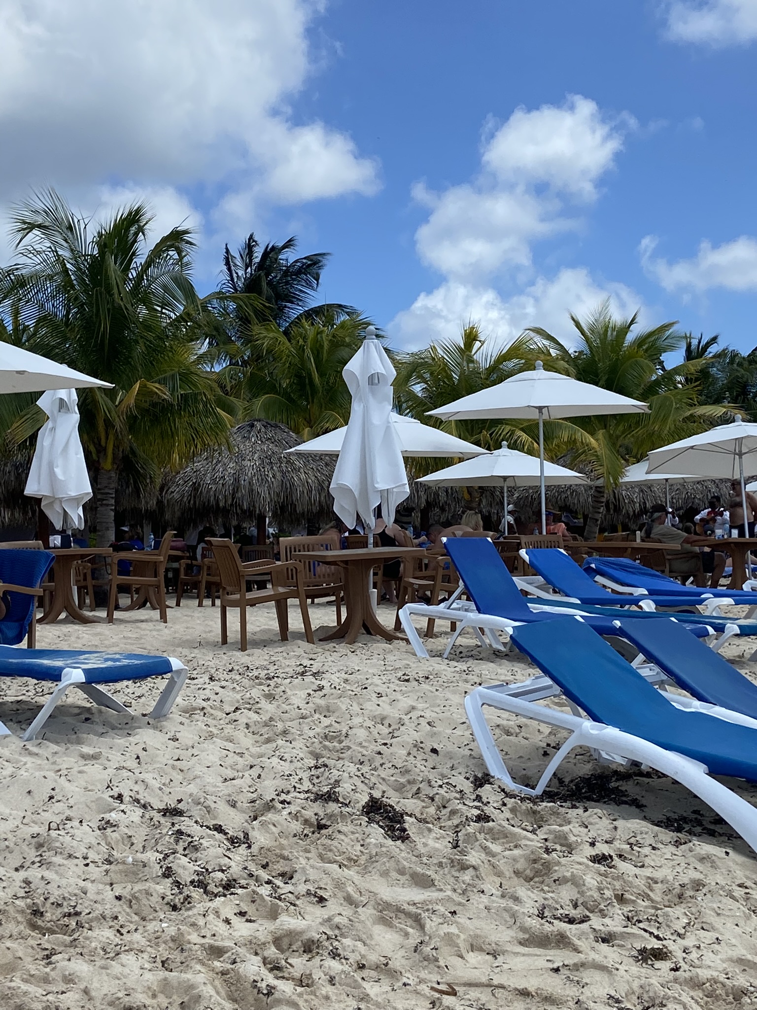 Unveil the Ultimate Getaway: Why Mr. Sanchos Beach Club is a Must-Visit Paradise!