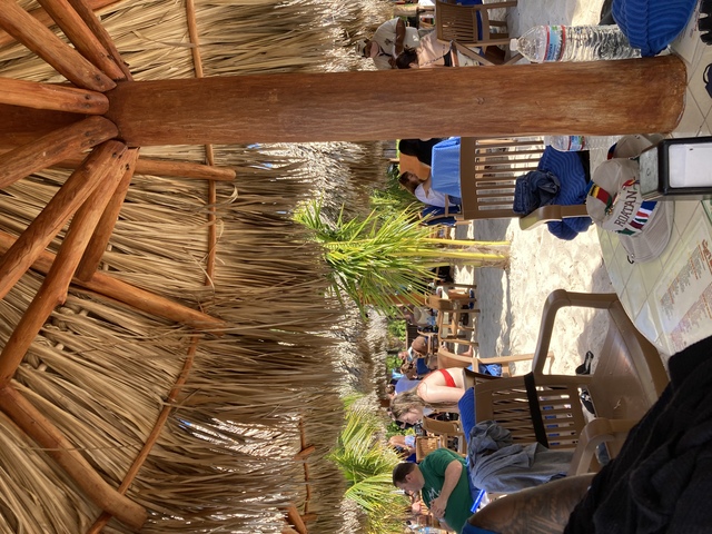 Mr. Sanchos Beach All Inclusive Day Pass Cozumel Johnny 