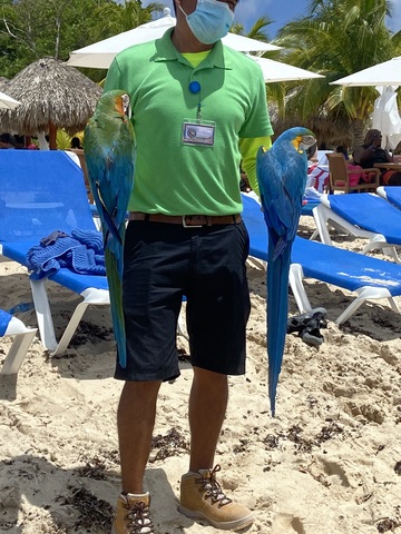 Mr. Sanchos Beach Club All-Inclusive Day Pass Cozumel Amazing 