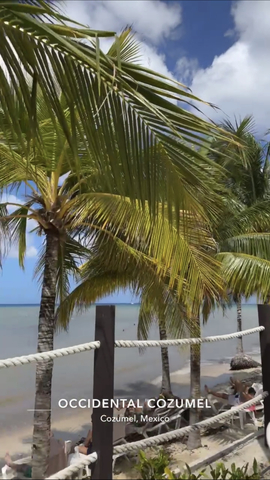  Occidental Cozumel Beach Resort Day Pass Excursion Beautiful resort
